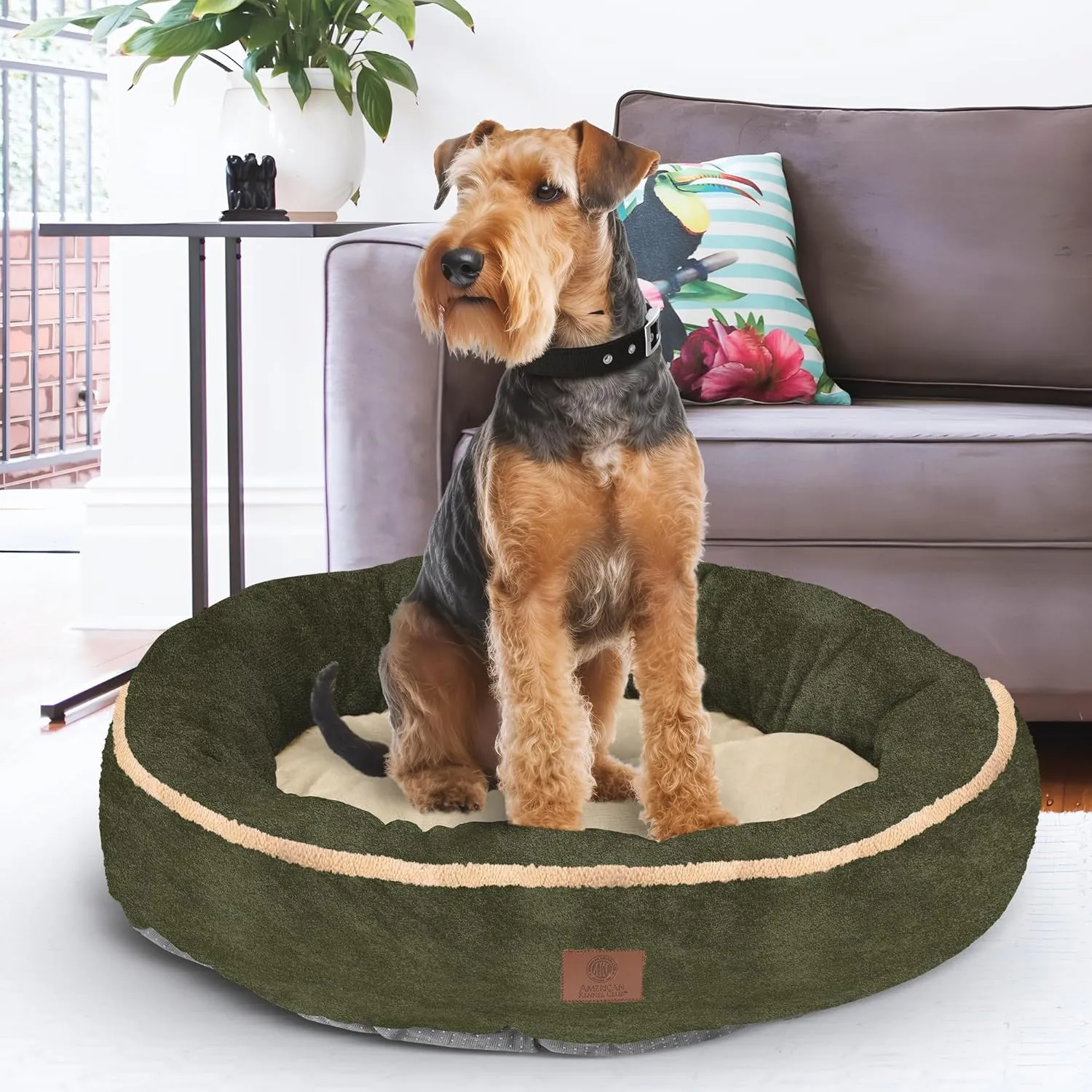 AMERICAN KENNEL CLUB 25-Inch Round Bed with Piping