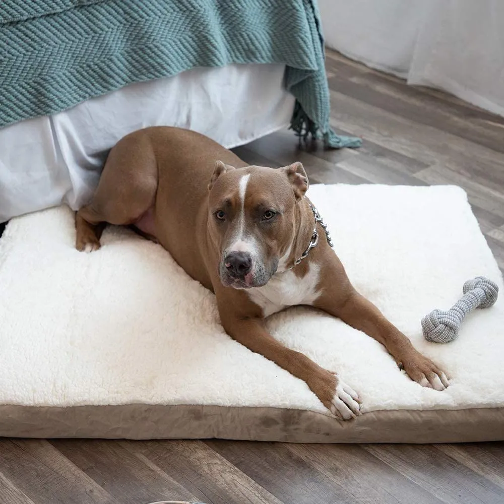Bed Refund policy Risk-free Pals Cats Orthopedic Paws Pet and Dogs & Foam-Mattress for