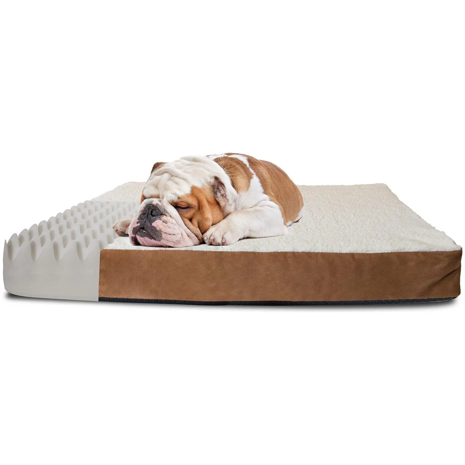 Bed Refund policy Risk-free Pals Cats Orthopedic Paws Pet and Dogs & Foam-Mattress for
