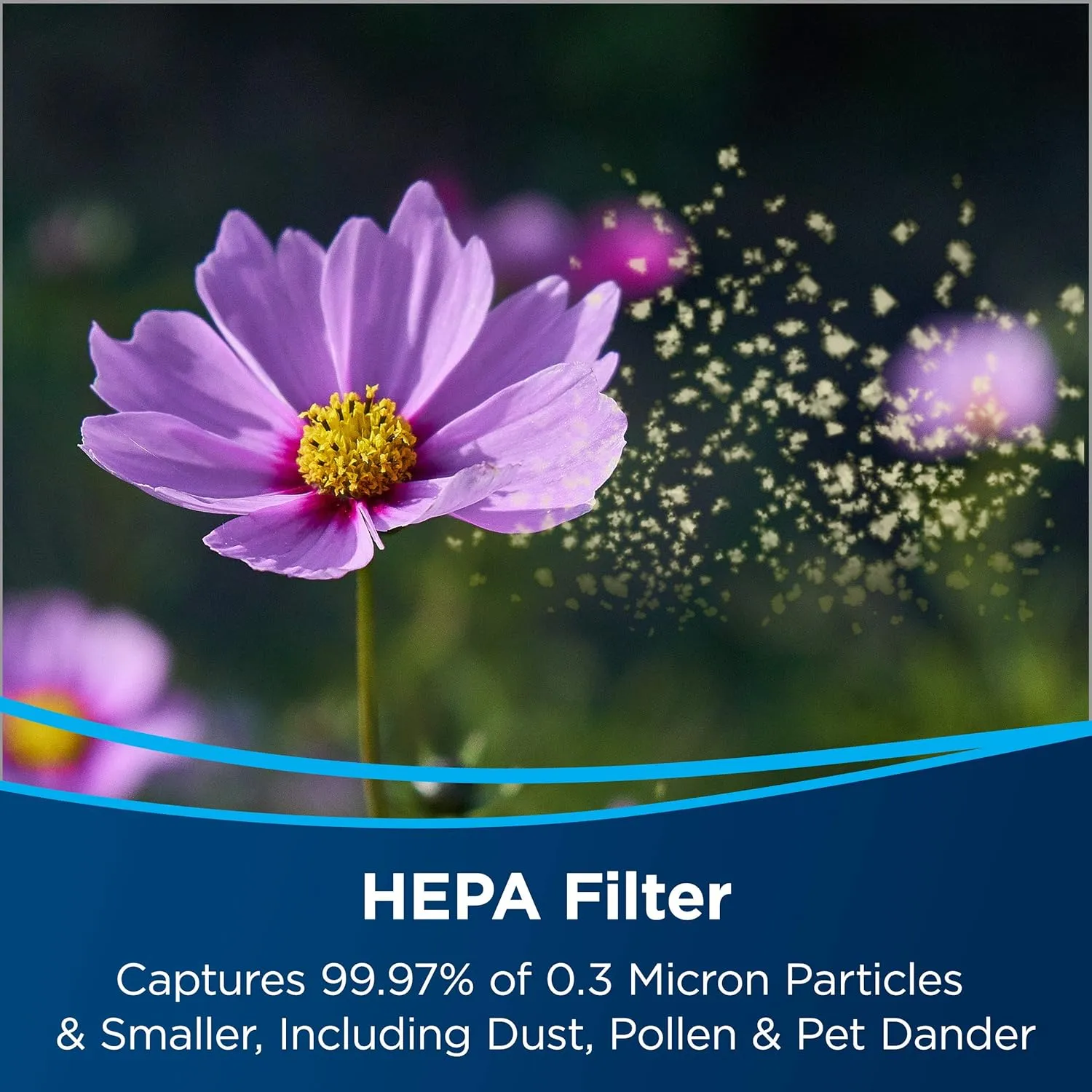 BISSELL air220 Air Purifier Replacement HEPA   Pre-Filter and Activated Carbon Filter Pack, 3315, Black