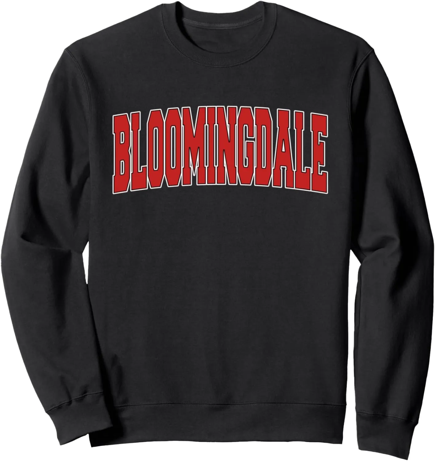 BLOOMINGDALE NJ NEW JERSEY Varsity Style USA Vintage Sports Sweatshirt