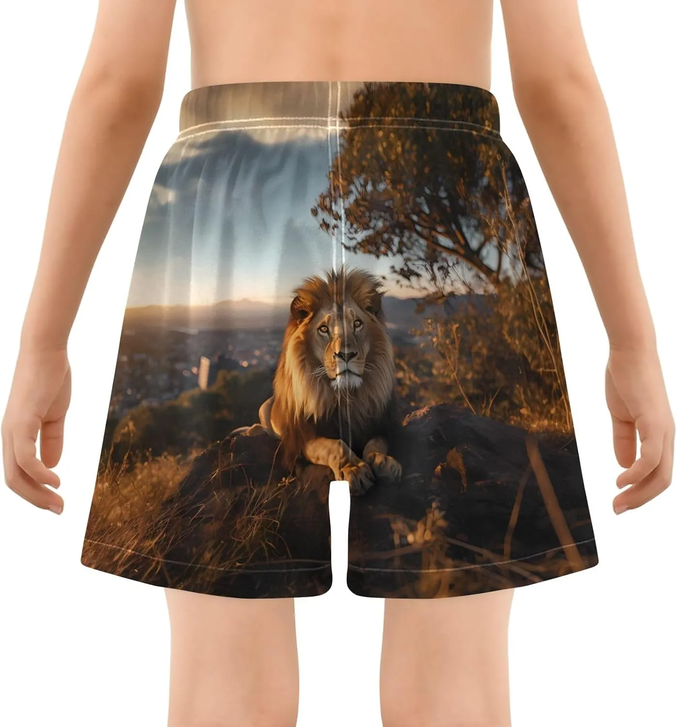 Bolaz Toddler Boys Swimwear Swim Trunks with Compression Liner 4T Lion Grasslands