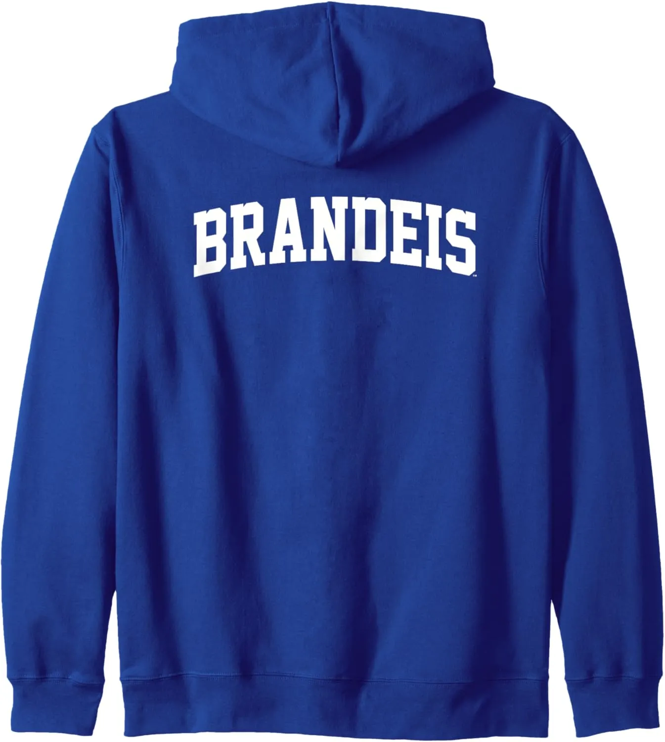 Brandeis University Judges One Color Arch Logo Zip Hoodie