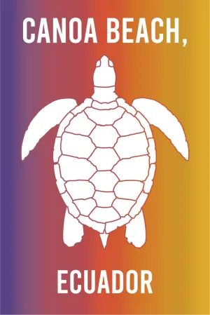 Canoa Beach Ecuador Beach Souvenir Fridge Magnet Turtle Design 4 Pack