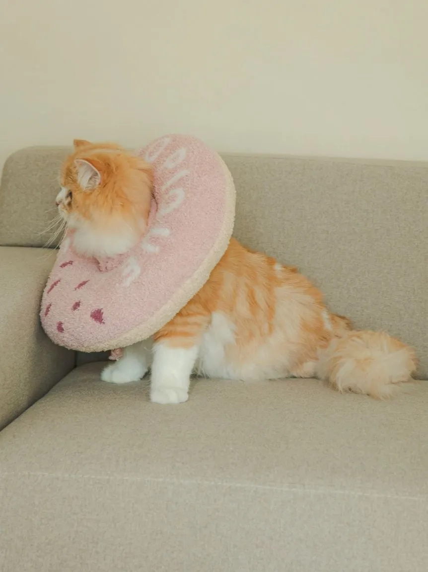 CAT & DOG Baby Moco Donut Pet Neck Pillow