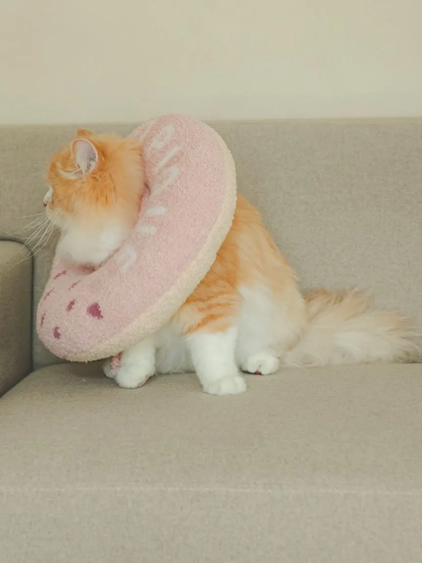 CAT & DOG Baby Moco Donut Pet Neck Pillow