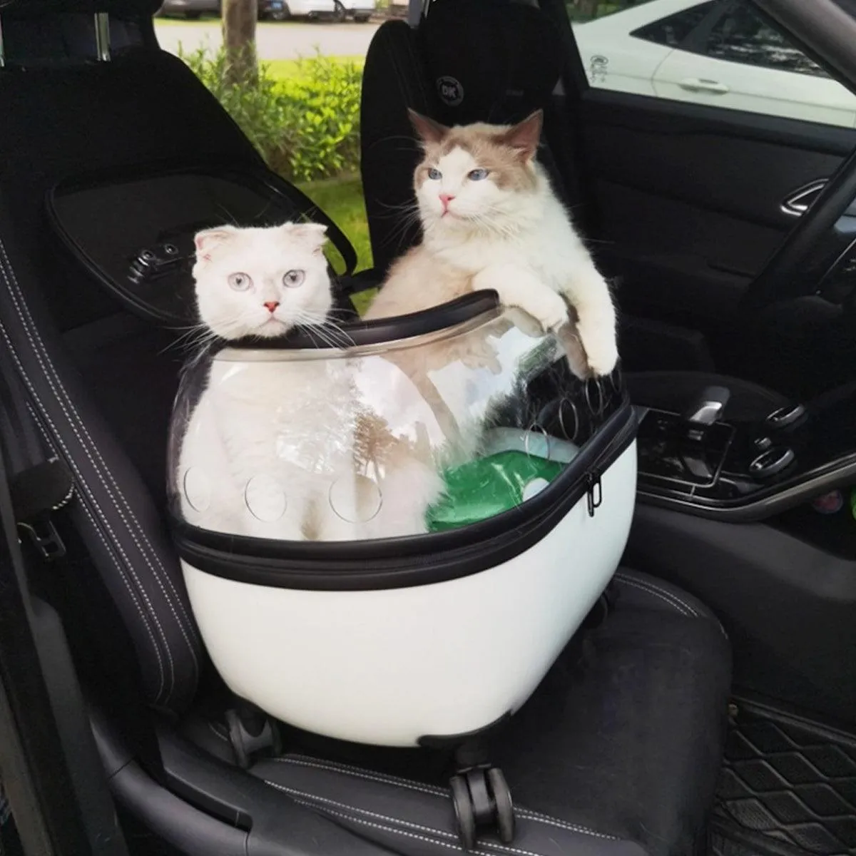Cat Bag Portable Pet Trolley Carrier Travel Box Out and About Pet Transport Case