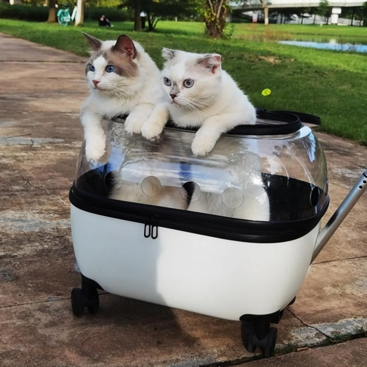 Cat Bag Portable Pet Trolley Carrier Travel Box Out and About Pet Transport Case