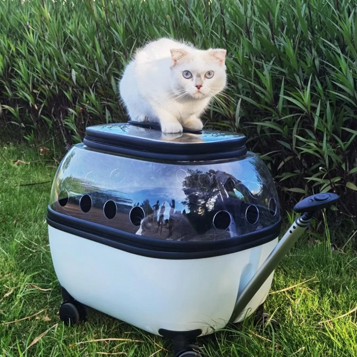 Cat Bag Portable Pet Trolley Carrier Travel Box Out and About Pet Transport Case