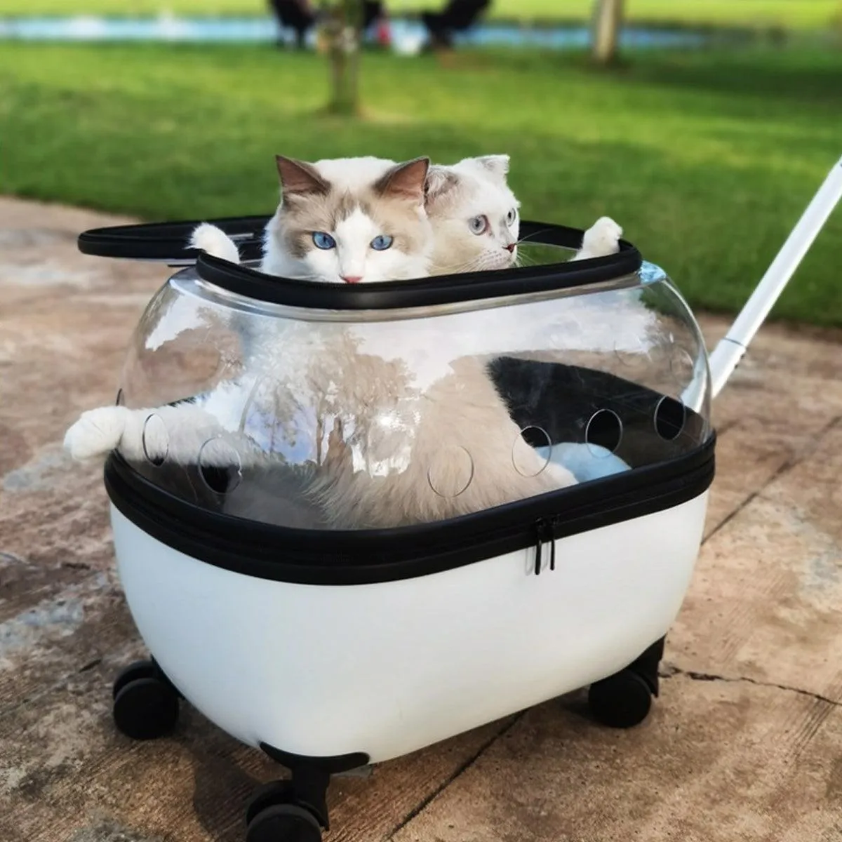 Cat Bag Portable Pet Trolley Carrier Travel Box Out and About Pet Transport Case