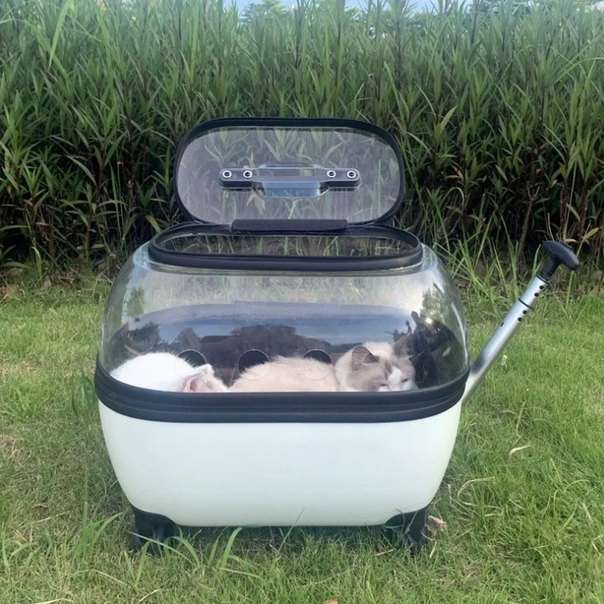 Cat Bag Portable Pet Trolley Carrier Travel Box Out and About Pet Transport Case