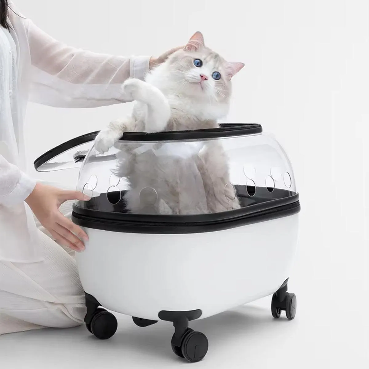 Cat Bag Portable Pet Trolley Carrier Travel Box Out and About Pet Transport Case