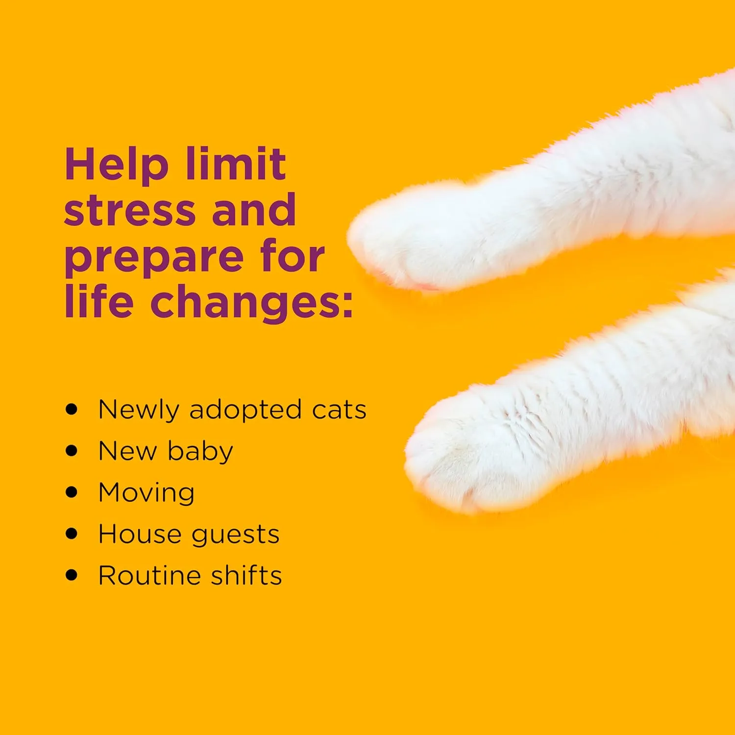 Comfort Zone 60 Day Starter Kit: 1 Cat Calming Diffuser & 2 Refills; Cat Pheromones Help Anxiety; Reduce Stress, Urine Marking, Scratching