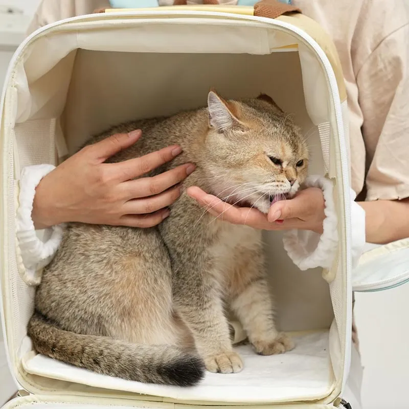 Cream Puff Pet Backpack (3 Colours)