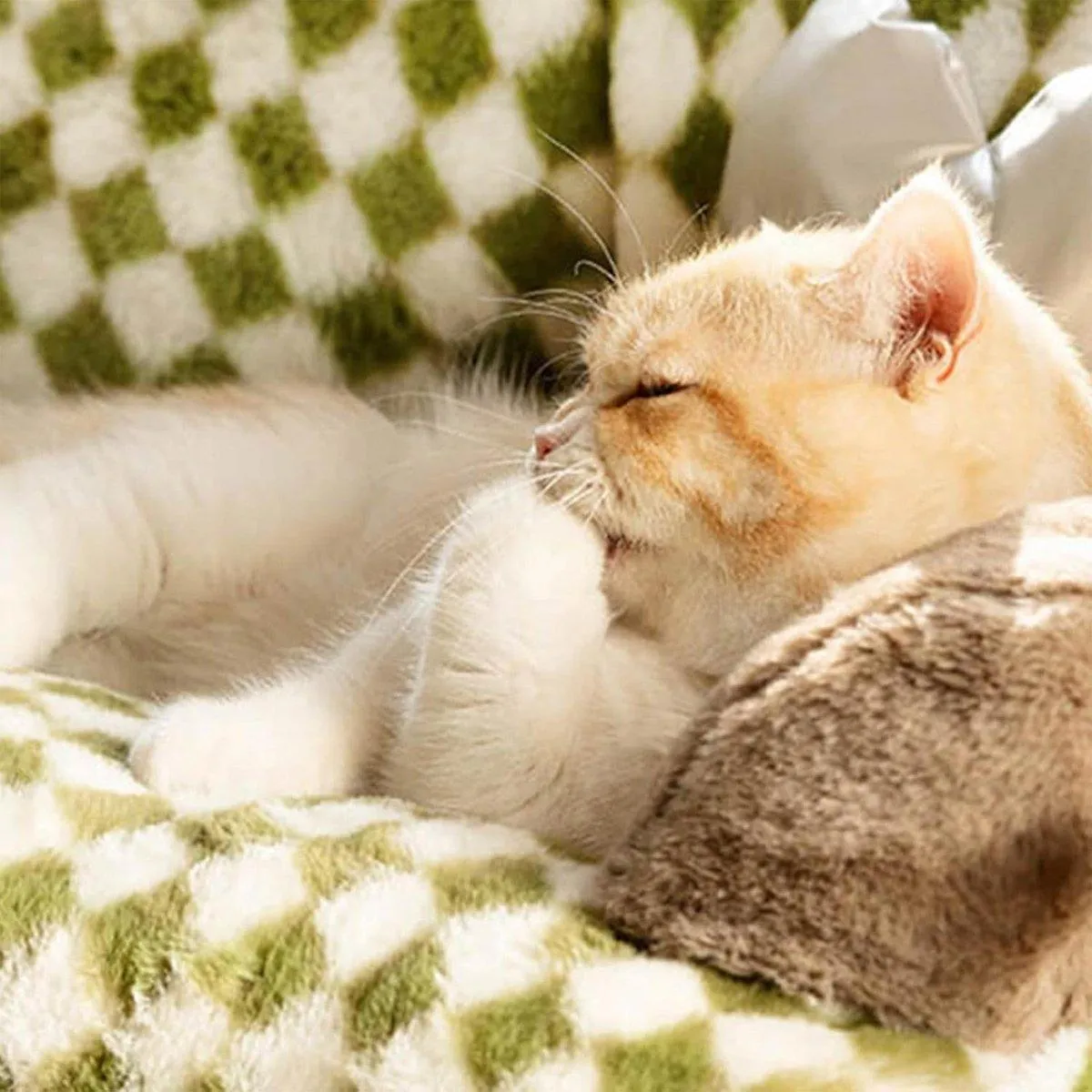 Dog Cat Sofa Warm Pet Sofa for Cats and Small Dogs Comfortable Sleeping Bed