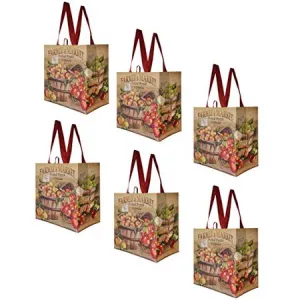 Earthwise Reusable Grocery Bags Shopping - Totes (Pack of 6)