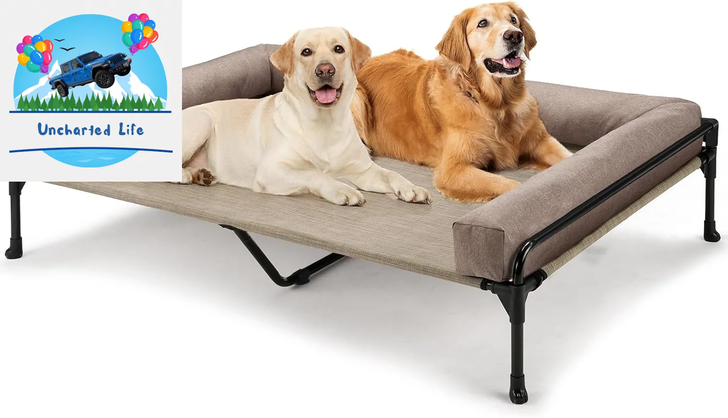 Elevated Dog Cot with Bolster – Cooling Outdoor Bed for Large Dogs