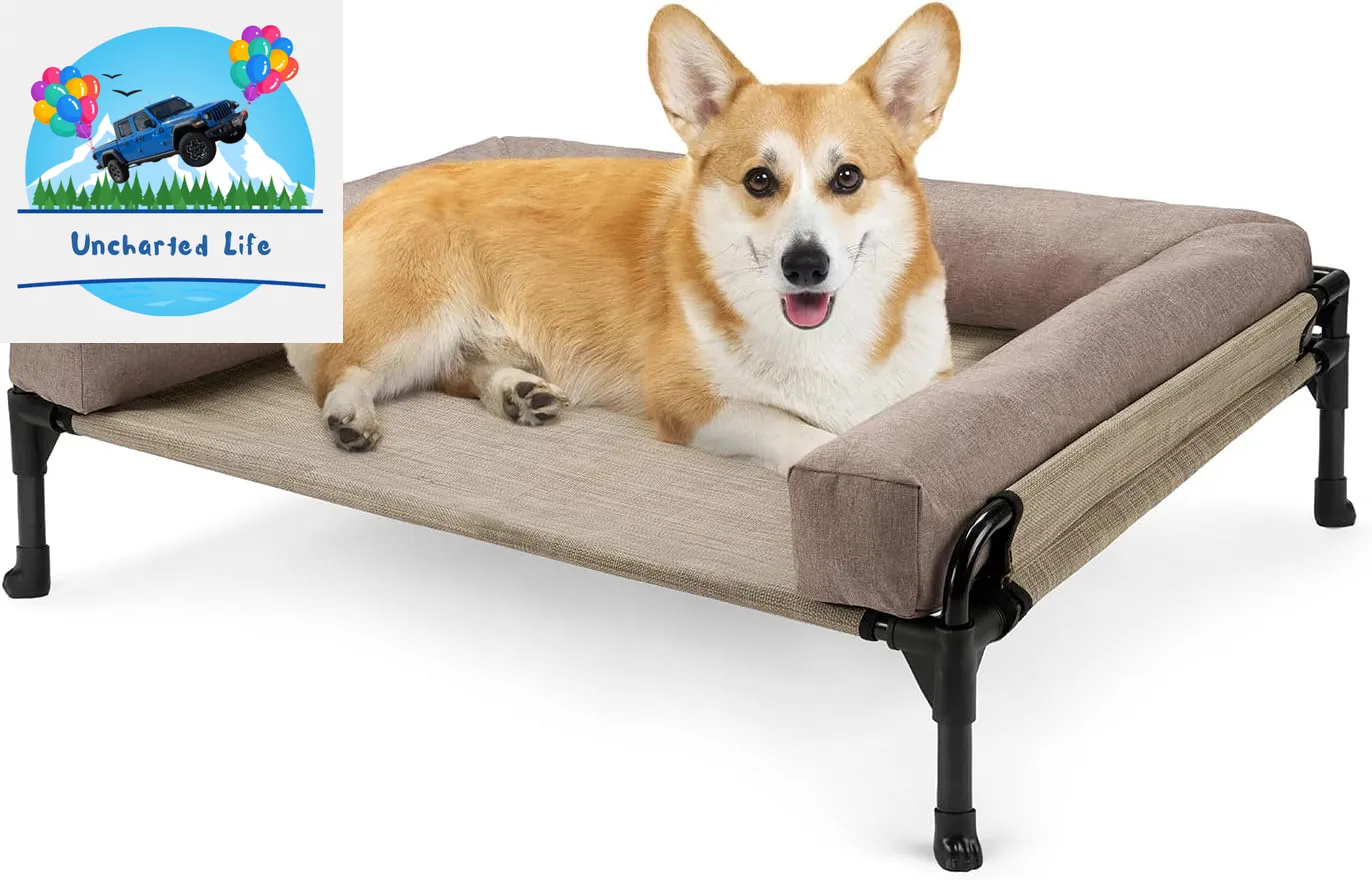 Elevated Dog Cot with Bolster – Cooling Outdoor Bed for Large Dogs