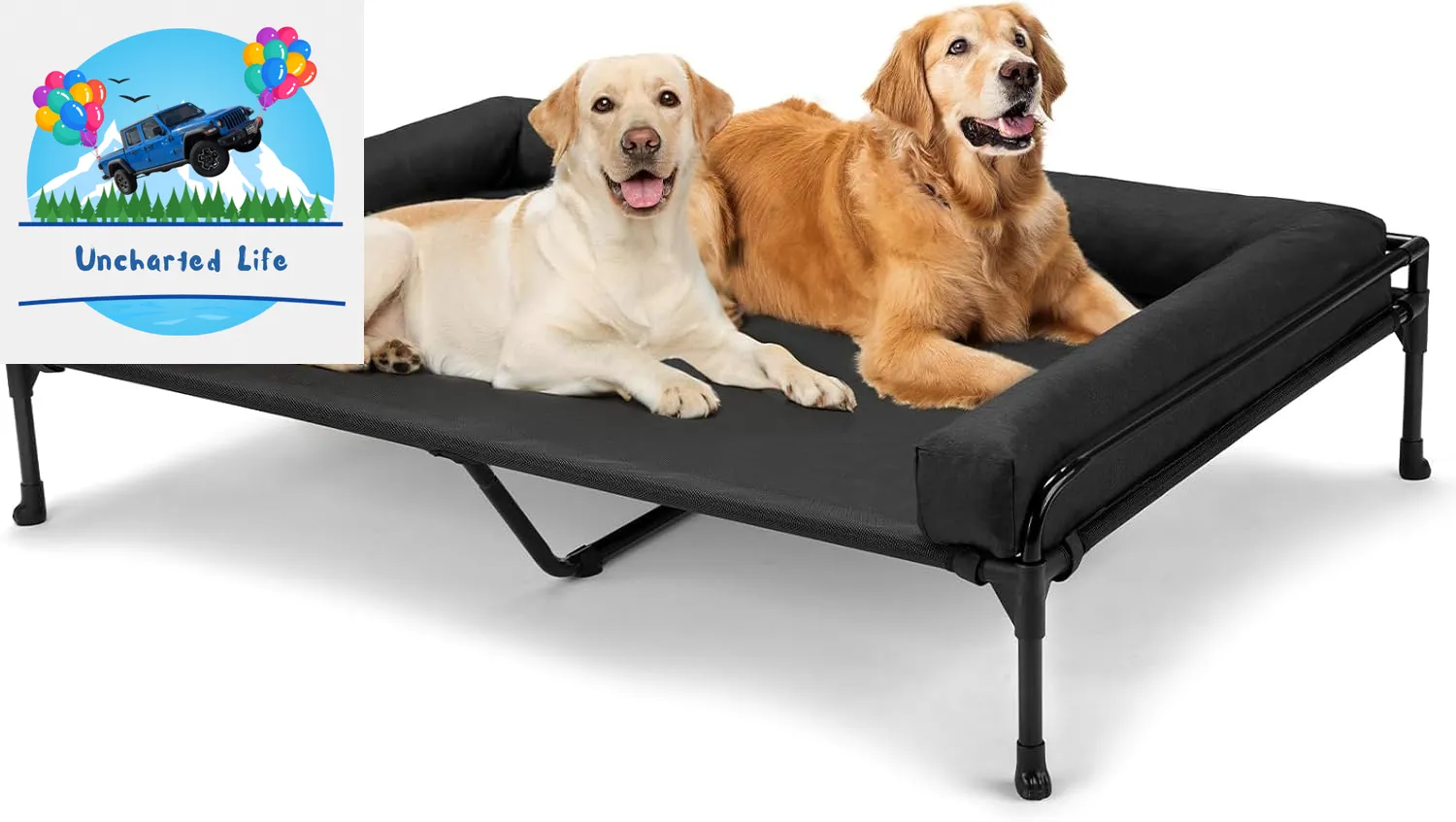 Elevated Dog Cot with Bolster – Cooling Outdoor Bed for Large Dogs