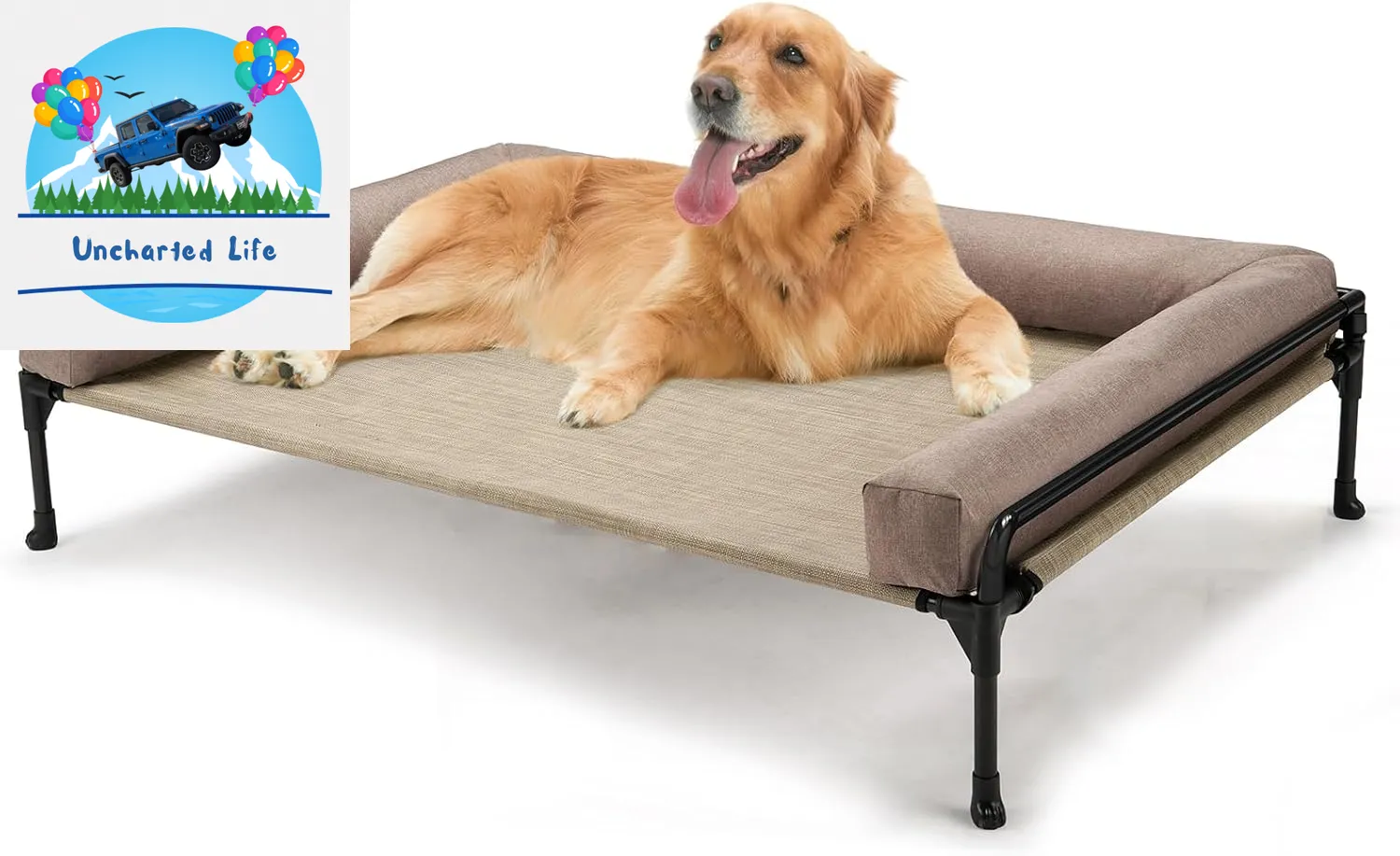 Elevated Dog Cot with Bolster – Cooling Outdoor Bed for Large Dogs