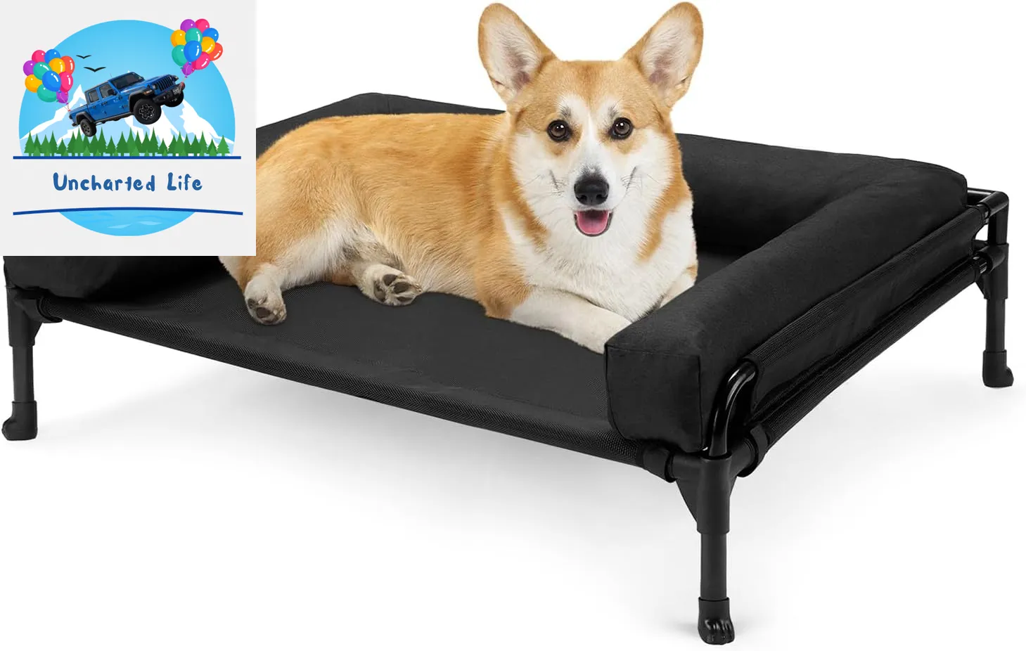 Elevated Dog Cot with Bolster – Cooling Outdoor Bed for Large Dogs