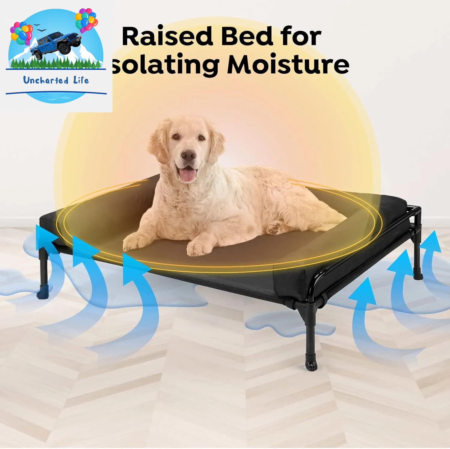 Elevated Dog Cot with Bolster – Cooling Outdoor Bed for Large Dogs