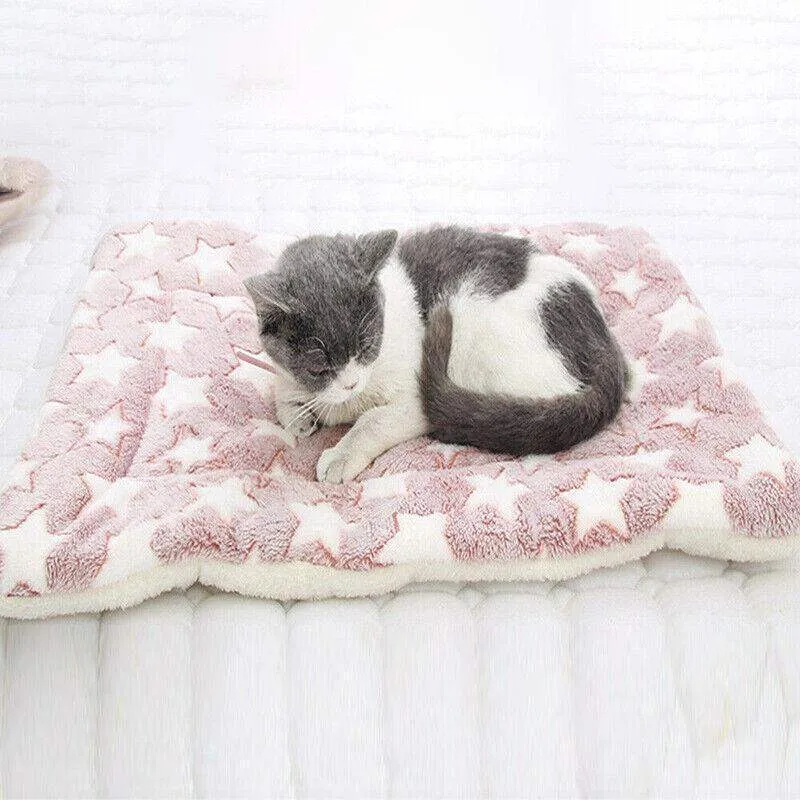 Foldable Dog Mattress for Travel & Home