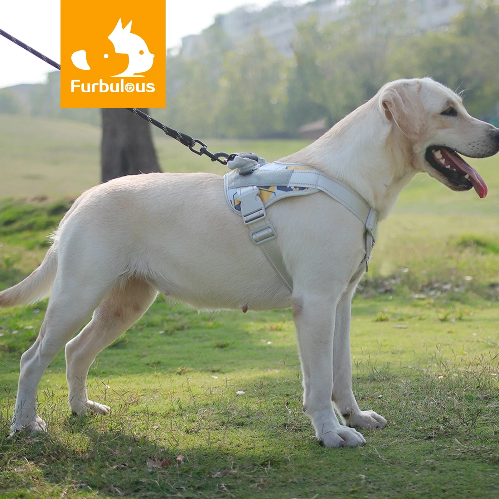 Furbulous No Pull Dog Harness Adjustable Pet Harness Reflective Explosion-proof Shock Dog Harness with 1.5m Lead - Blue XL