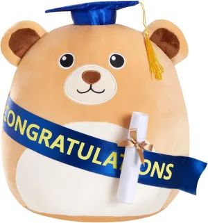 Graduation Bear Plush Pillow Stuffed Class of 2025 Gifts for Boys and Girls,Stuffed Animal Bear Pillow with Cap,Graduation Plush Animal Gift for Boys Girls for Preschool and College High School 13inch