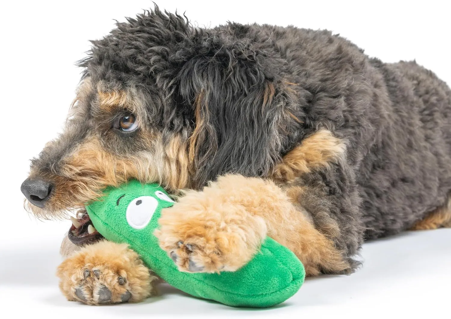 Huxley & Kent for Dogs - Dell Pickle (Large) - Power Plush Dog Toy with Squeaker - Fun, Durable - H&K Squeaky Funny Dog Toy
