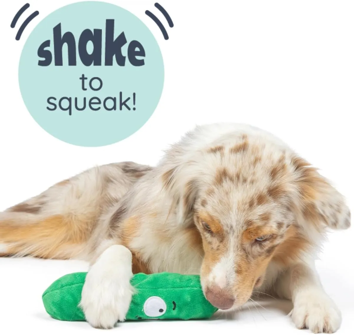 Huxley & Kent for Dogs - Dell Pickle (Large) - Power Plush Dog Toy with Squeaker - Fun, Durable - H&K Squeaky Funny Dog Toy