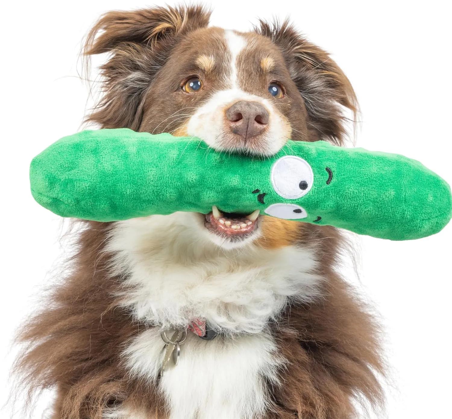 Huxley & Kent for Dogs - Dell Pickle (Large) - Power Plush Dog Toy with Squeaker - Fun, Durable - H&K Squeaky Funny Dog Toy