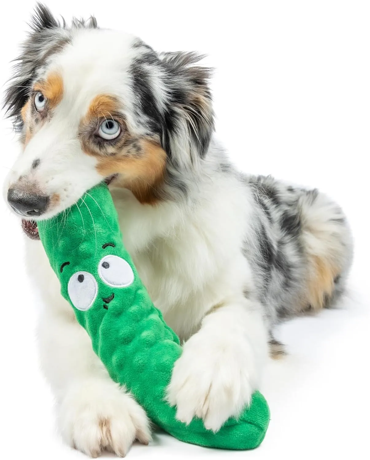 Huxley & Kent for Dogs - Dell Pickle (Large) - Power Plush Dog Toy with Squeaker - Fun, Durable - H&K Squeaky Funny Dog Toy
