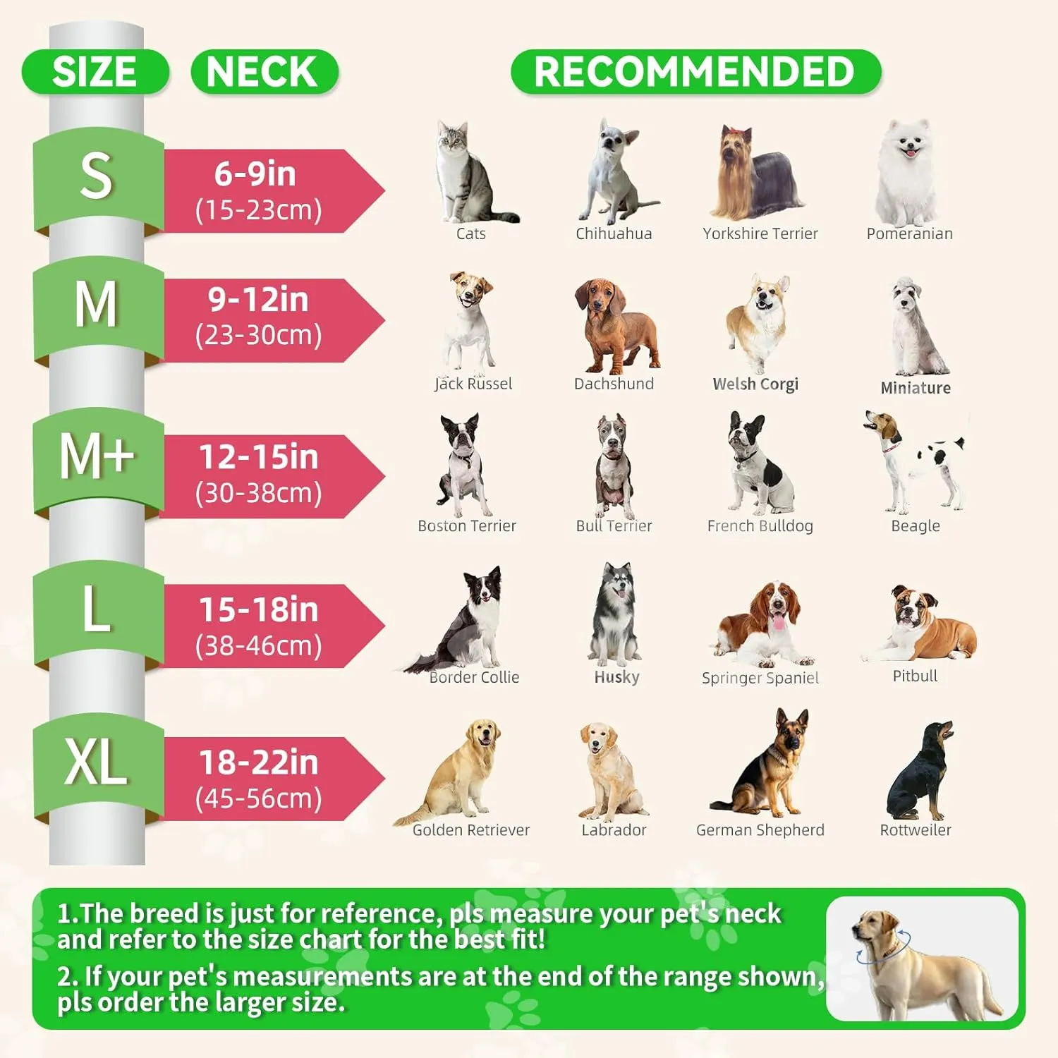 Inflatable Dog Cone Collar with Transparent Anti-Licking Shield, Soft Adjustable Elizabethan Collar for Medium Large Dogs, 2-in-1 Design with Detachable Design and Comfortable Padding (M, Watermelon)