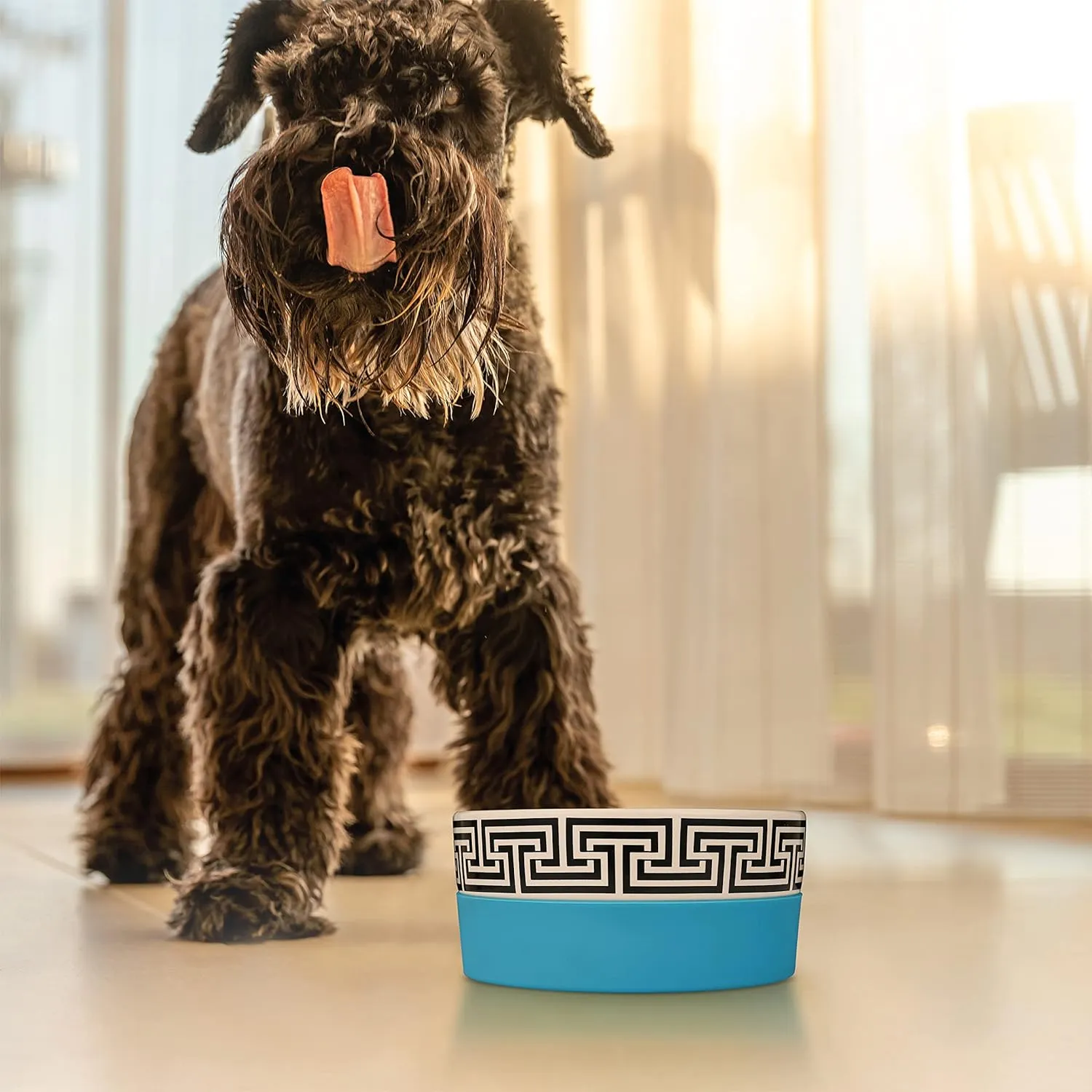 Jonathan Adler Duo Dog Bowl, Large | Ceramic Dog Food Bowl from Now House, Greek Key Design