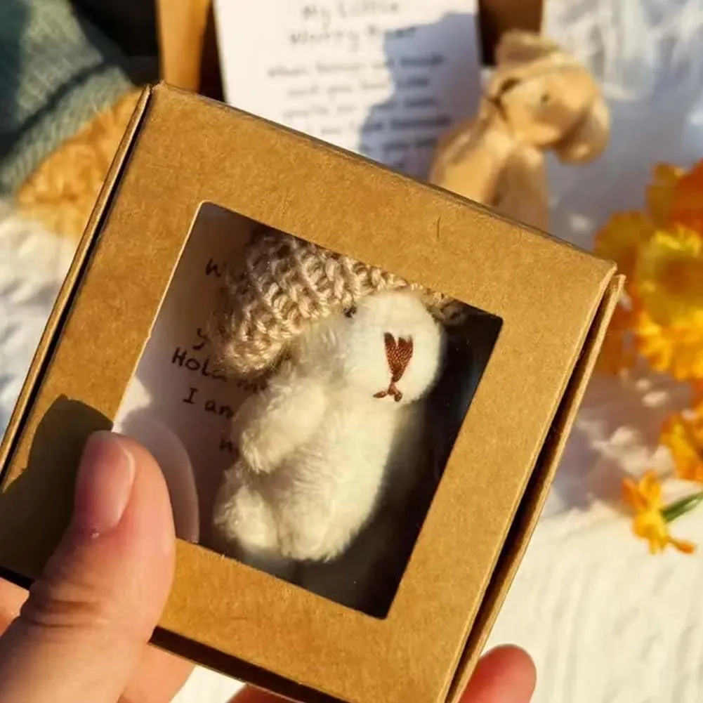 Little Bear in a Box, My Little Worry Bear, Handmade Mini Plush Teddy Bear in Box, Pocket Bear Hug Accessories Gift for Lovers, 2025 New Upgrade Sympathy Emotional Support Tiny Bear(4pcs)