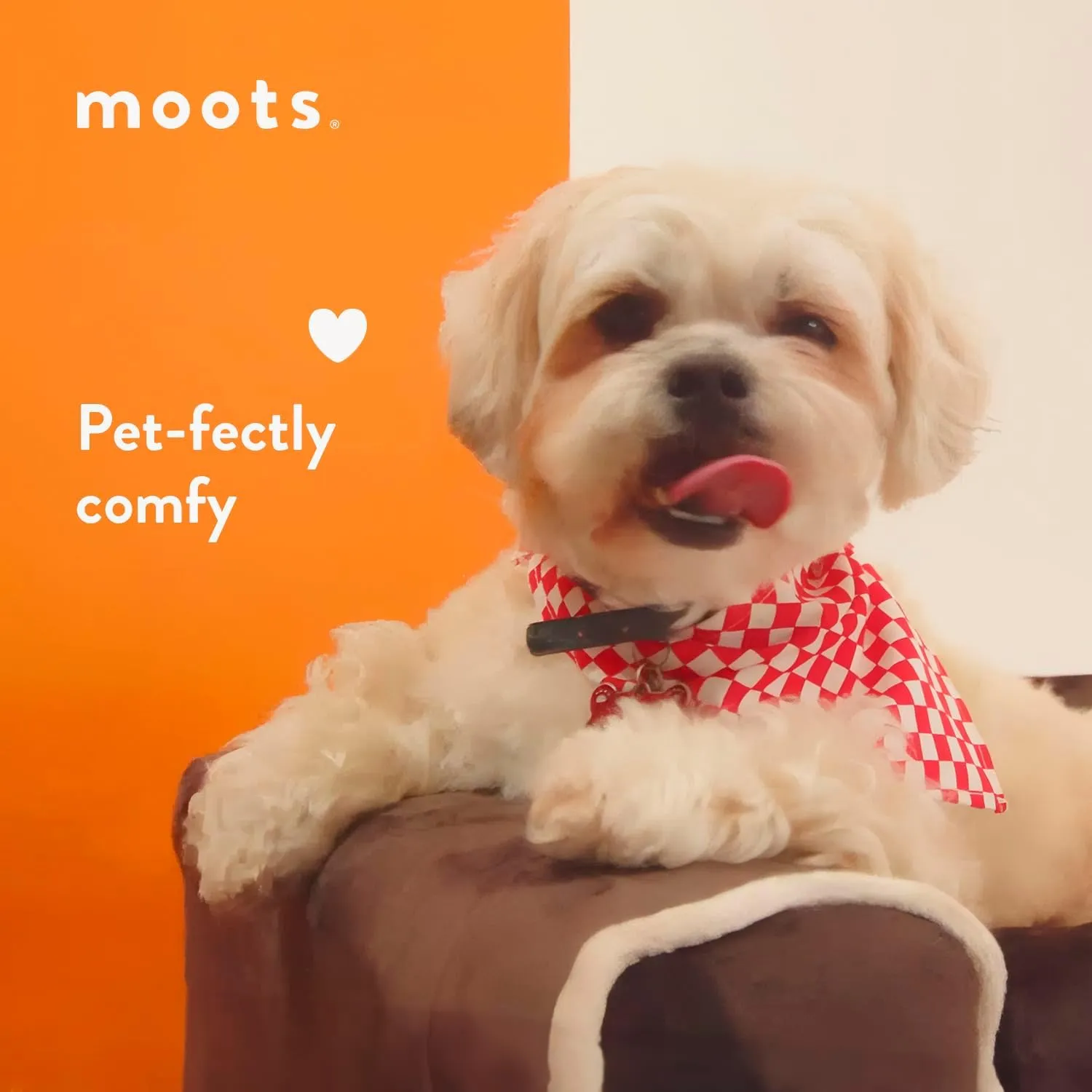 Moots Furry Pet Lounge, Pet Bed with 2 Pillows, Deluxe Sofa for Dogs, Easy to Coordinate, Stylish and Cleanable Dog Sofa, Couch - Charcoal, Large