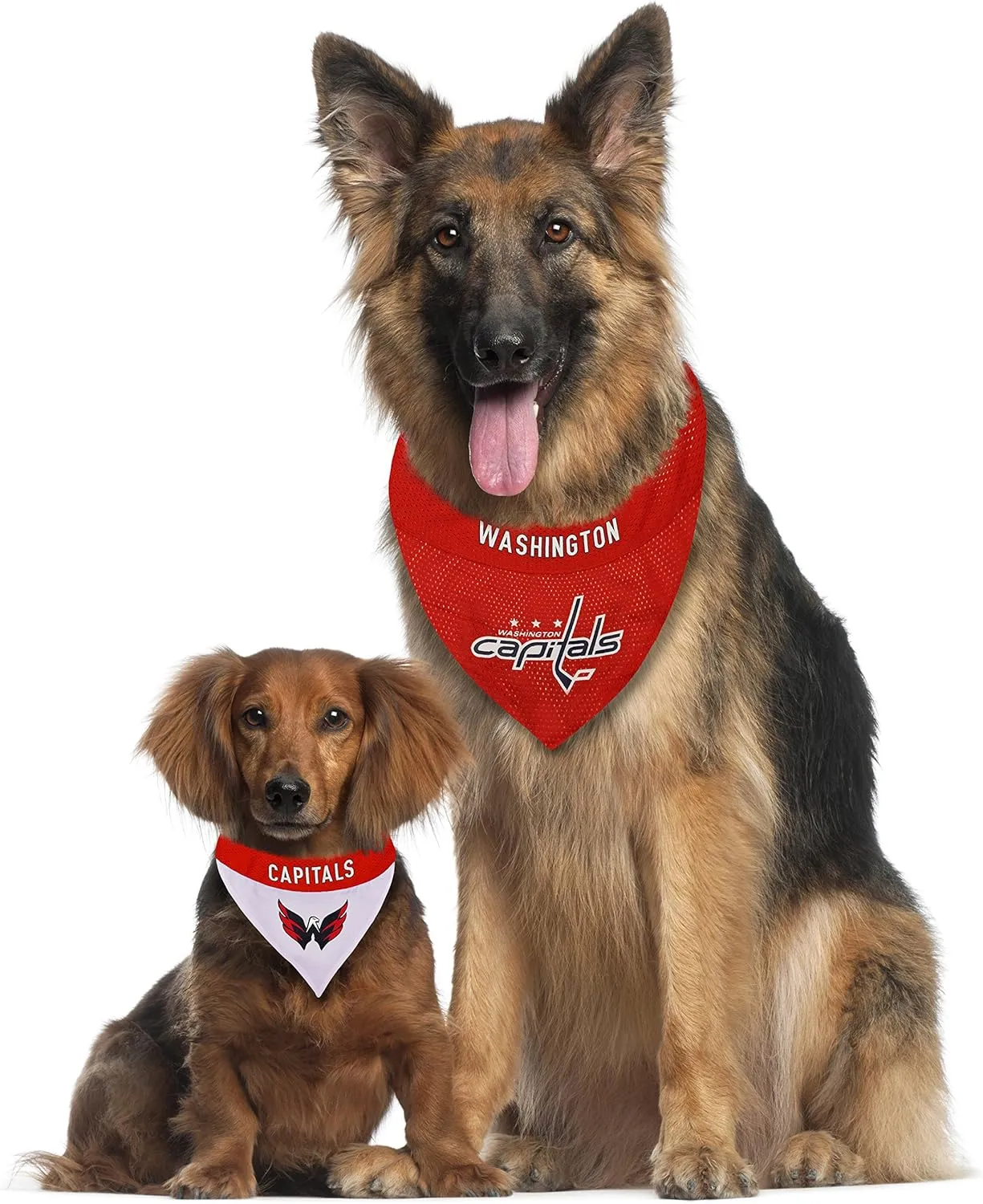 NHL Washington Capitals Bandana for Dogs & Cats, Small/Medium. - Cute & Stylish Bandana! The Perfect Hockey Fan Scarf Bandana, Great for Birthdays Or Any Party!