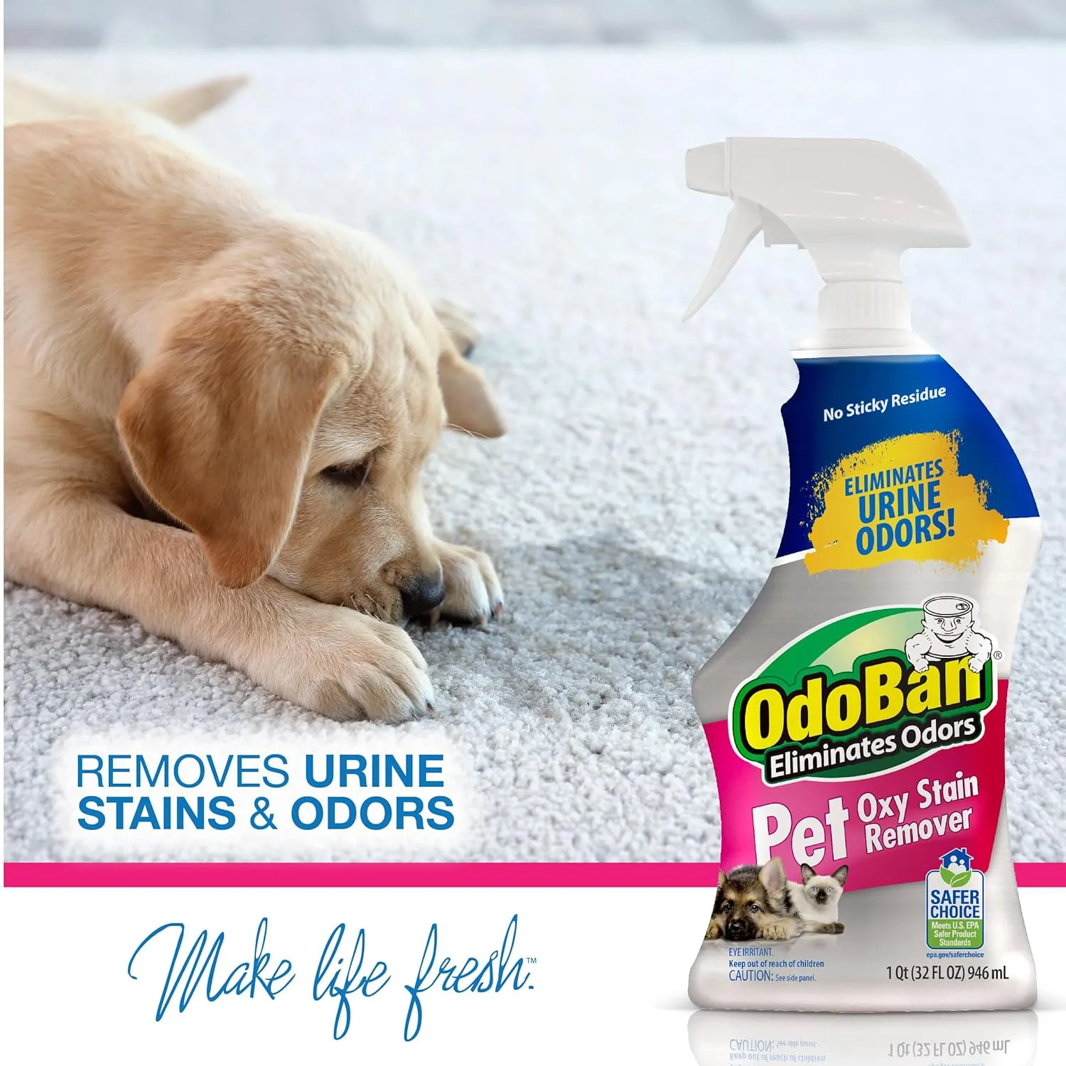 OdoBan Pet Solutions Neutral pH Floor Cleaner Concentrate, 1 Gallon, and Oxy Stain Remover, 32 Ounce Spray