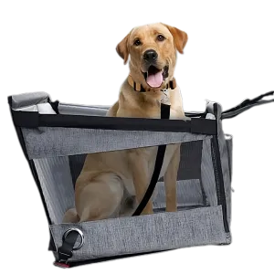 PawVenture Travel Carrier