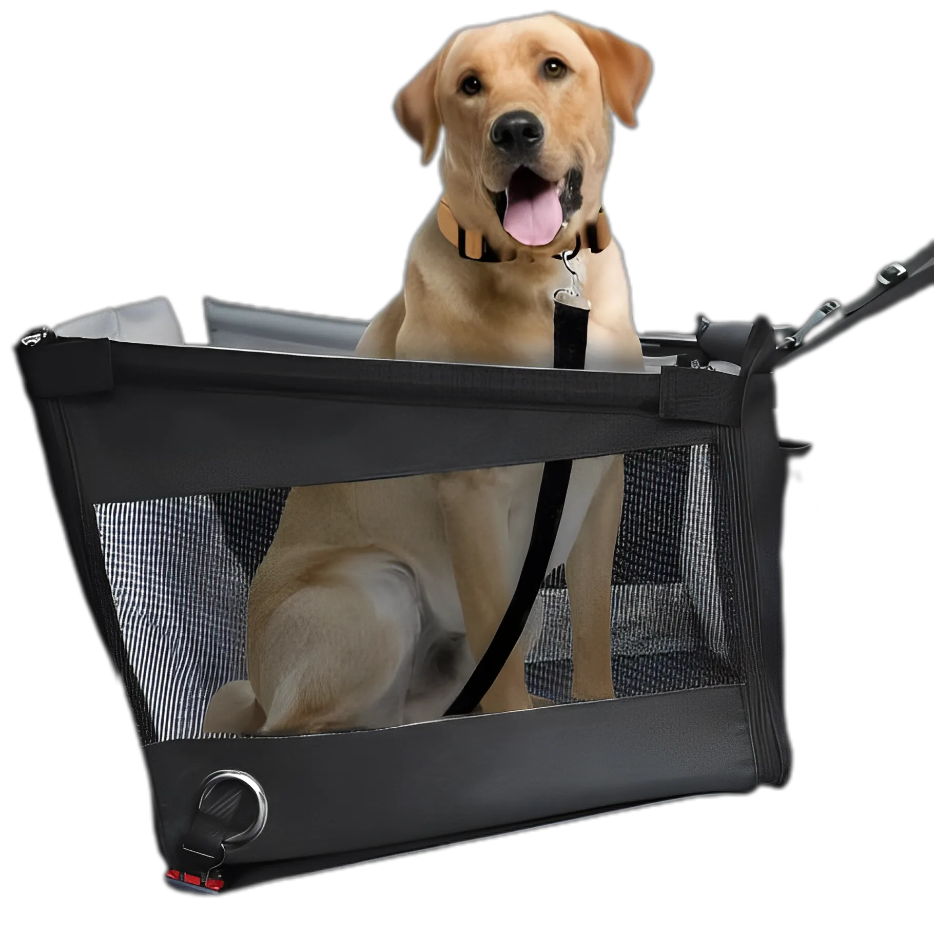 PawVenture Travel Carrier