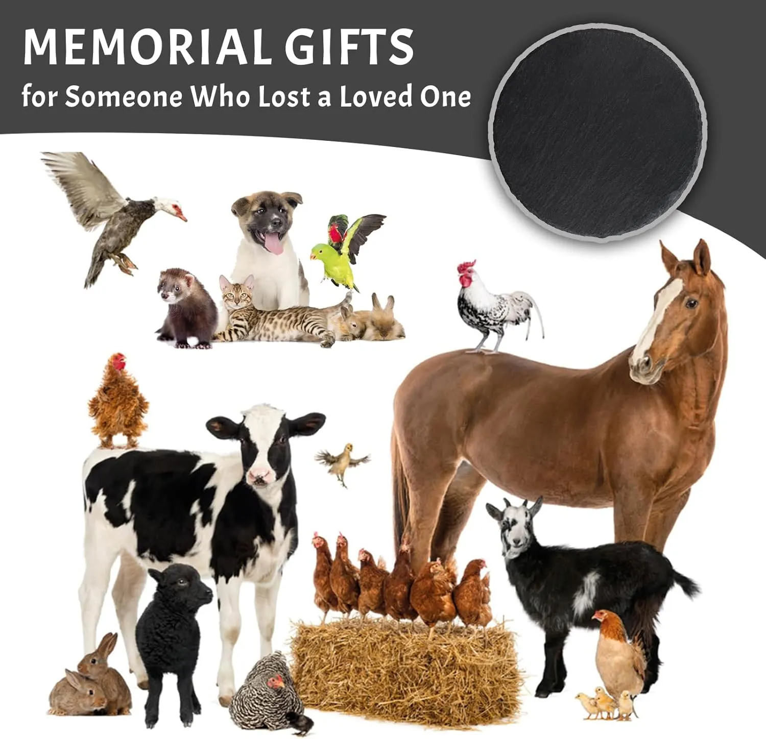Personalized Pet Squirrel Memorial Gifts, Custom Pet Squirrel Memorial Stone with Photo Name Date, in Loving Memory of Squirrel Stone, Squirrel Headstone Garden Pet Squirrel Grave Markers