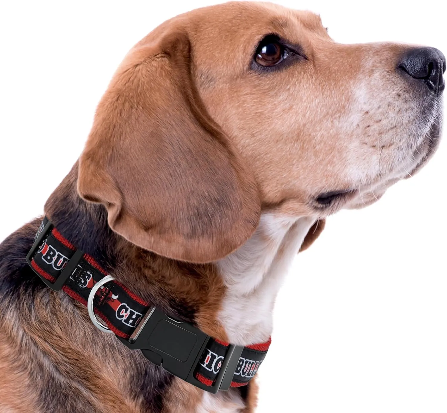 Pets First NBA Chicago Bulls Dog Collar, Size Large, Basketball Team Collar for Dogs & Cats. Licensed by The NBA, New & Improved Design