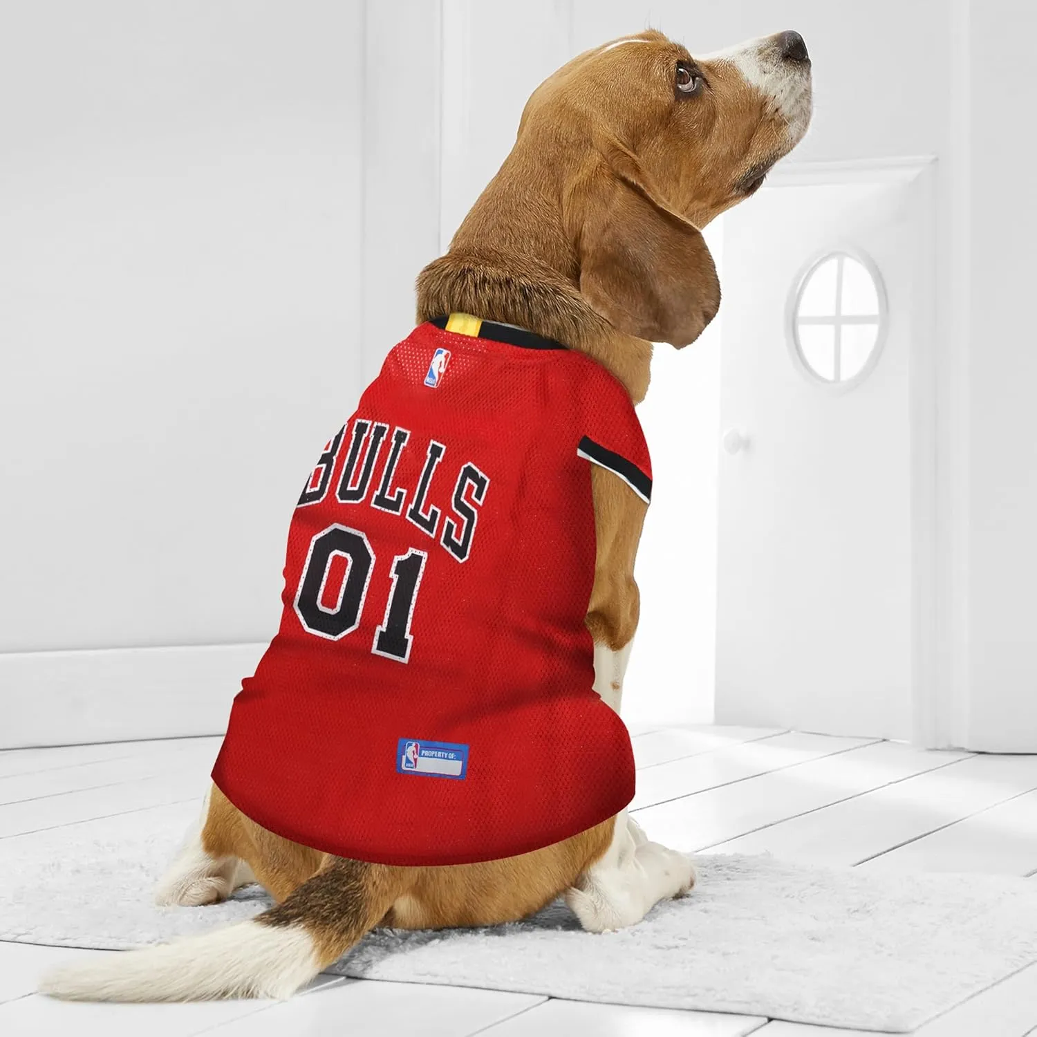 Pets First NBA CHICAGO BULLS DOG Jersey, X-Small - Tank Top Basketball Pet Jersey