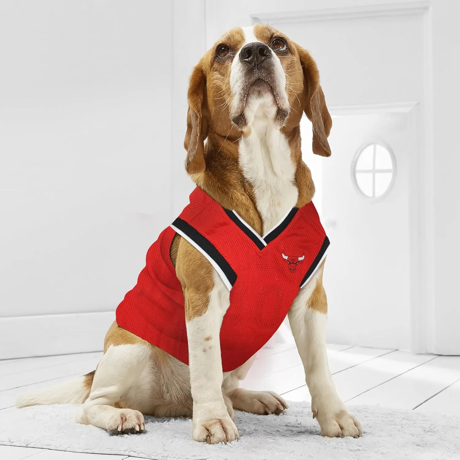 Pets First NBA CHICAGO BULLS DOG Jersey, X-Small - Tank Top Basketball Pet Jersey