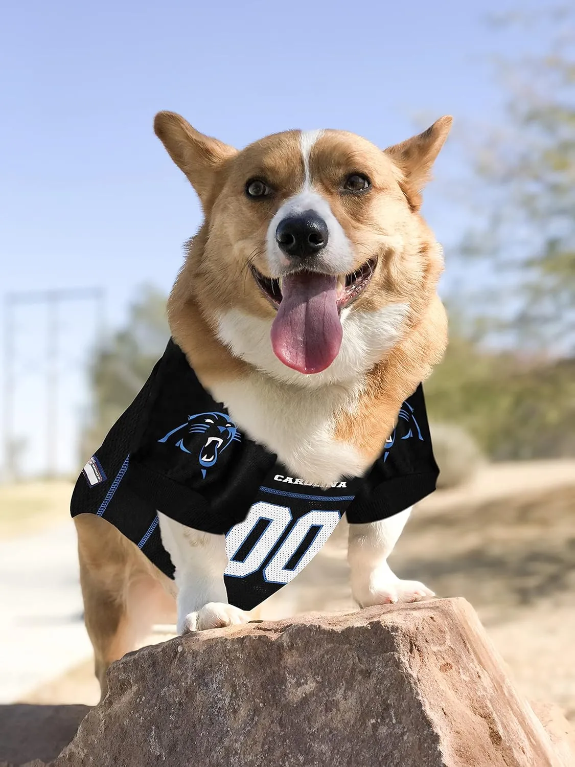 Pets First NFL Carolina Panthers Dog Jersey, Size Medium. Best Football Jersey Costume for Dogs & Cats. Licensed Jersey Shirt