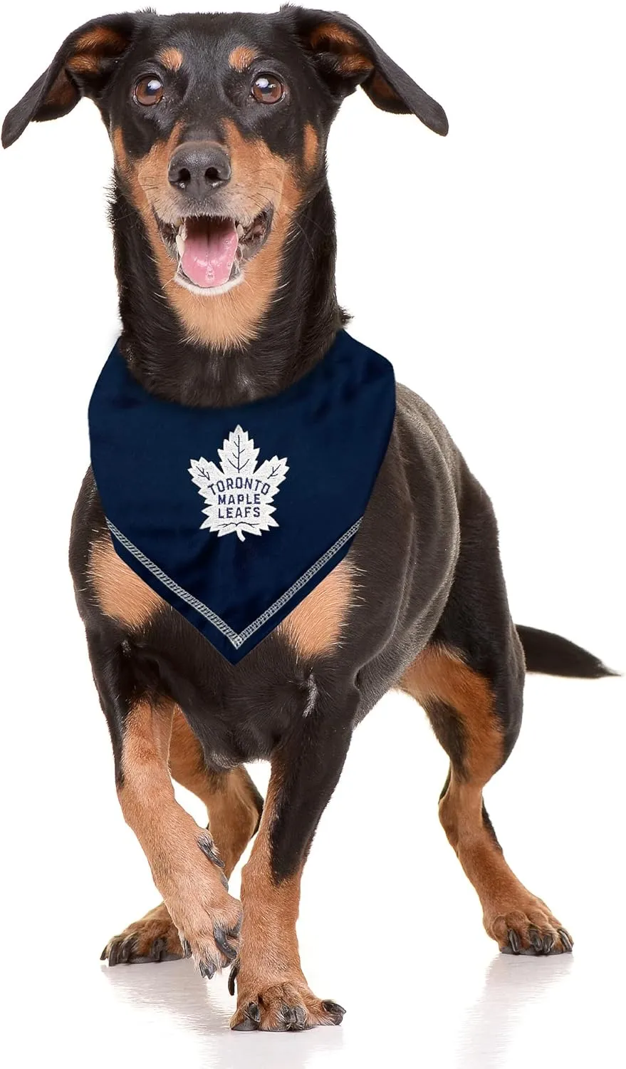 Pets First NHL Toronto Maple Leafs TIE Bandana, Size Small/Medium. Dog Bandana Scarf Bib for Pet Cat Dog. The Ultimate Game-Day, Party Bandana