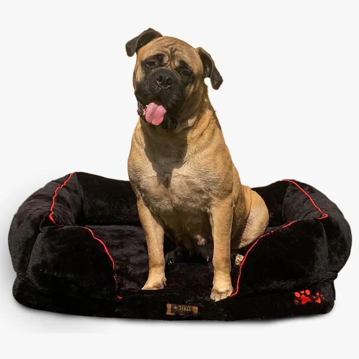 Petter World Ultra Luxury Micro Fur Orthopedic Sofa Bed with Sherpa Fur Cushion for Dogs and Cats Jet Black