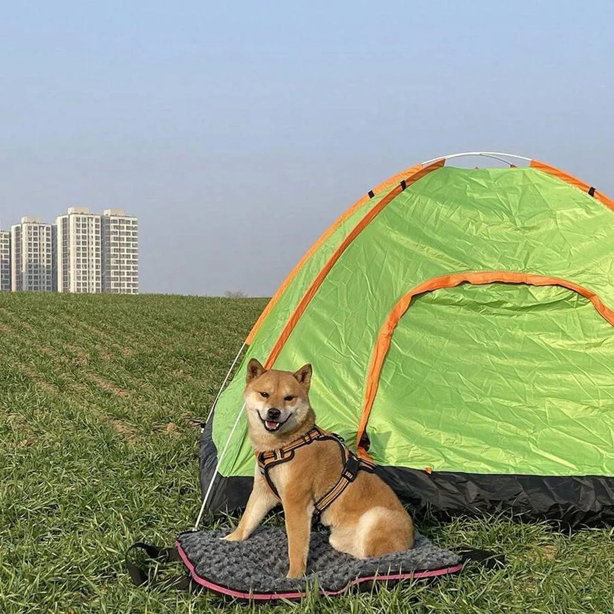 Portable Folding Pet Kennel Zippered Outdoor Dog Bed Travel Mat Waterproof