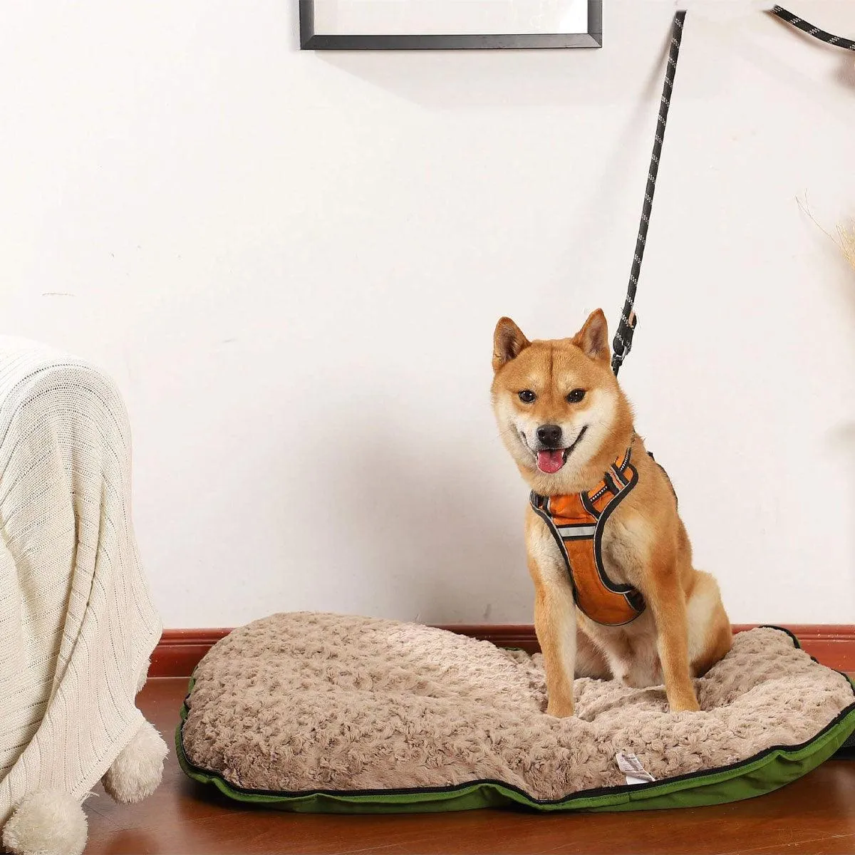 Portable Folding Pet Kennel Zippered Outdoor Dog Bed Travel Mat Waterproof